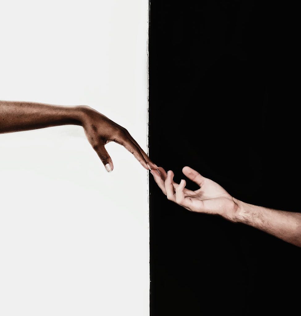 hands in front of white and black background